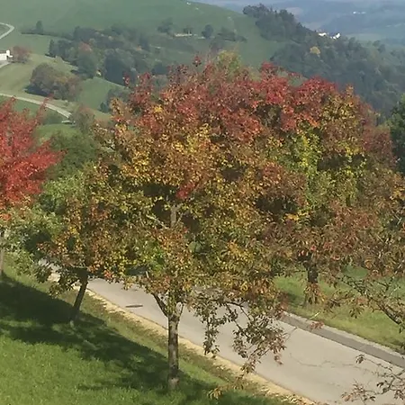 Koessl アパート *