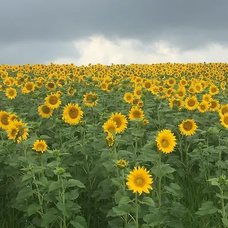 Koessl * Waidhofen an der Ybbs