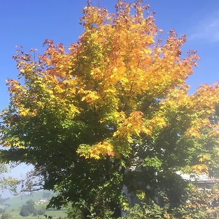 Koessl * Waidhofen an der Ybbs