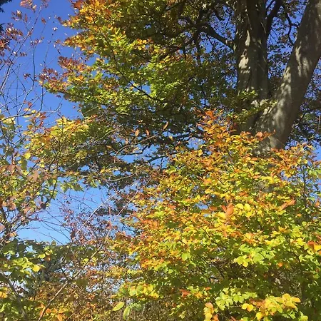 Koessl アパート ヴァイトホーフェン・アン・デア・イプス