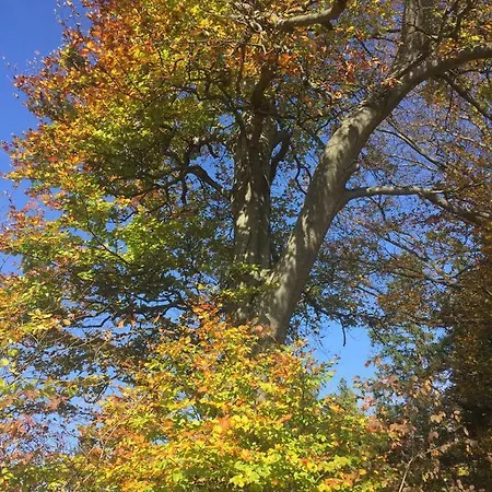 Koessl * Waidhofen an der Ybbs