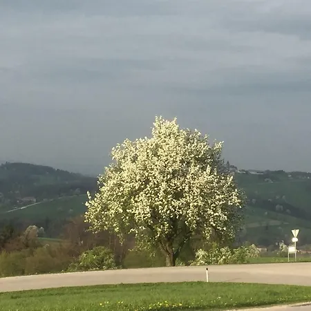 Koessl Appartamento Waidhofen an der Ybbs