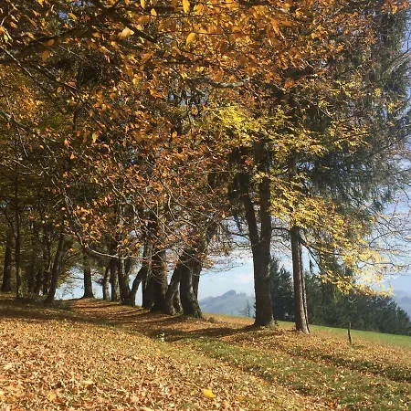 アパート Koessl ヴァイトホーフェン・アン・デア・イプス