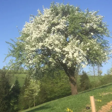 Koessl * ヴァイトホーフェン・アン・デア・イプス