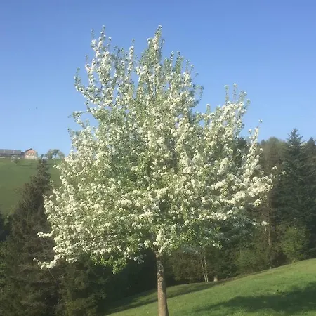 Koessl Waidhofen an der Ybbs