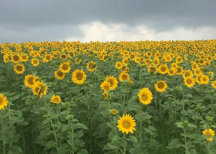 Koessl * Waidhofen an der Ybbs