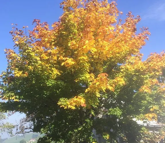 Koessl * Waidhofen an der Ybbs