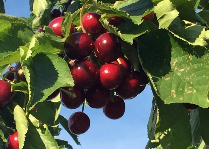 Koessl Διαμέρισμα