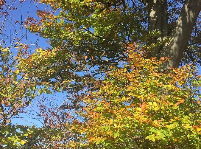 Koessl Appartement Waidhofen an der Ybbs