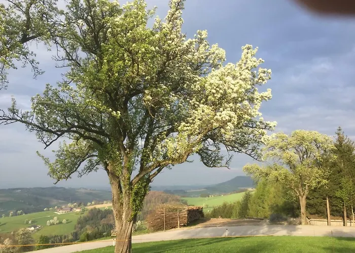 Koessl Διαμέρισμα Waidhofen an der Ybbs