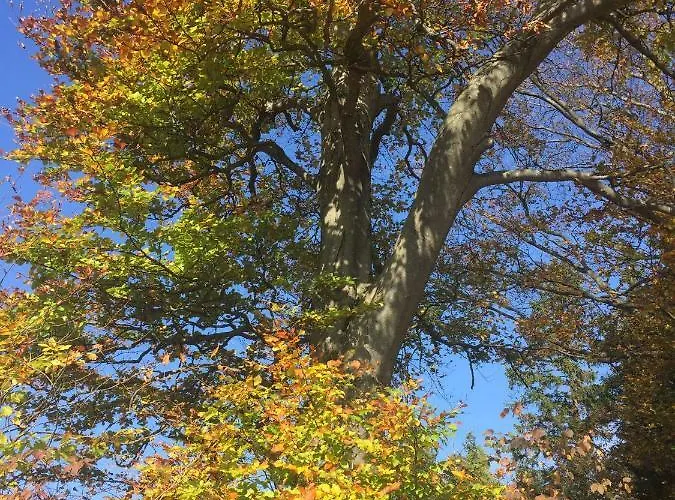 Koessl * Waidhofen an der Ybbs