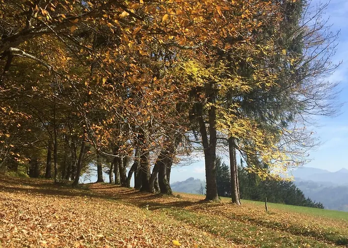 Διαμέρισμα Koessl Waidhofen an der Ybbs