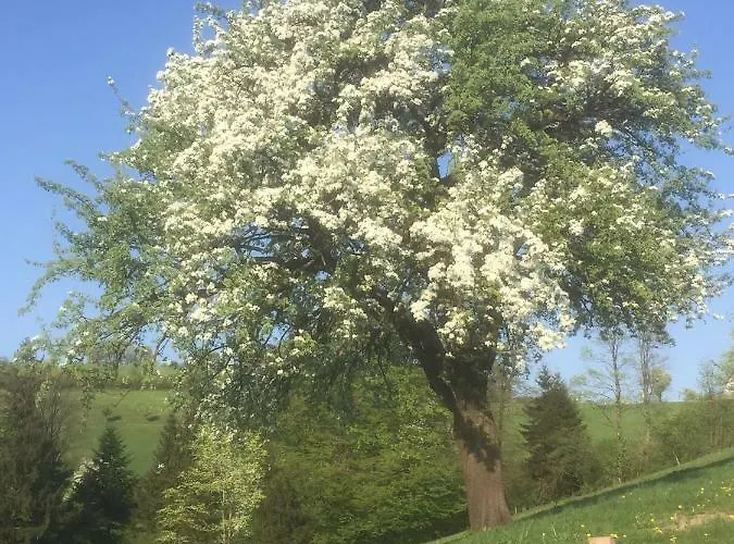 Koessl * Waidhofen an der Ybbs