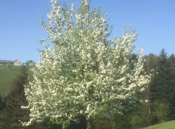 Koessl Waidhofen an der Ybbs