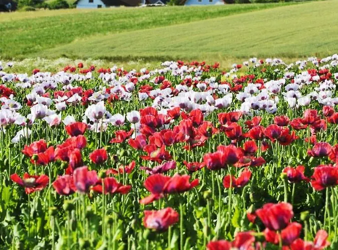 Appartement Koessl *